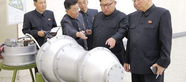 北朝鮮、秘密裏にミサイル燃料製造か＝米メディア - Sputnik 日本
