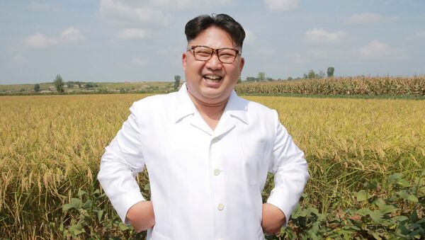 Лидер КНДР Ким Чен Ын инспектирует сельскохозяйственные угодья - Sputnik 日本