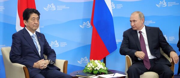 ロシアは年末までに「フクシマ」に関する日本との共同プロジェクトが決定することに期待している プーチン大統領 ロシアは年末までに「フクシマ」に関する日本との共同プロジェクトが決定することに期待している プーチン大統領 - Sputnik 日本