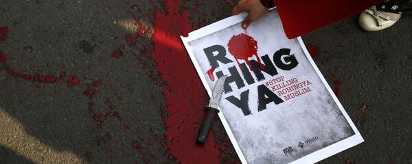 スー・チー氏の平和賞撤回をネット上で署名　ミャンマーのロヒンギャ問題 - Sputnik 日本