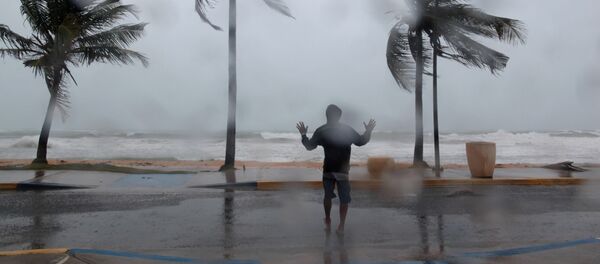 ハリケーン - Sputnik 日本