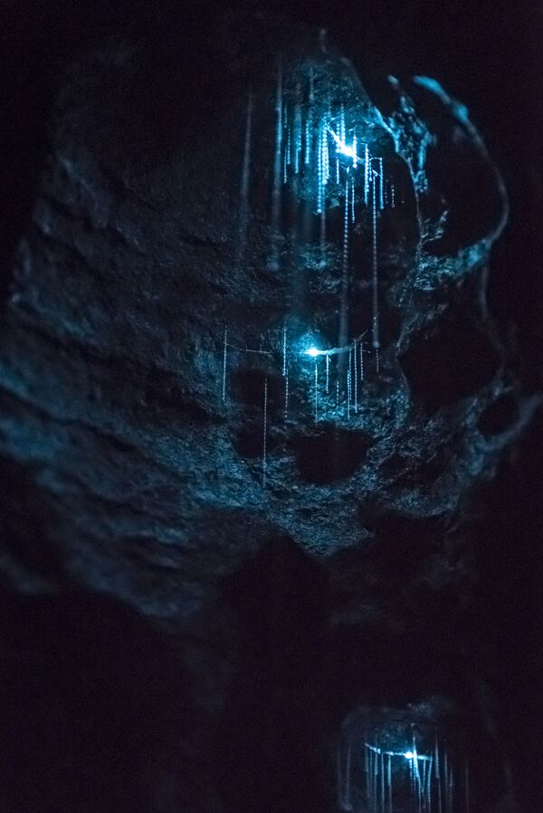 ワイトモ洞窟（ニュージーランド） - Sputnik 日本