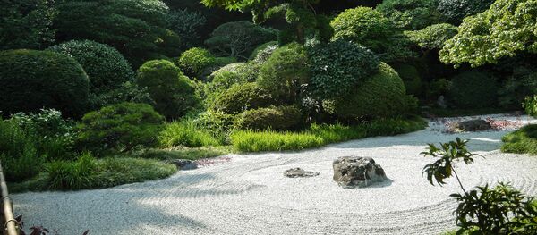 石庭の真ん中か、あるいはフェンスの上か 猫にとっての理想の寝場所 石庭の真ん中か、あるいはフェンスの上か 猫にとっての理想の寝場所 - Sputnik 日本