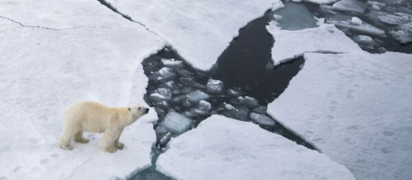 北極圏で露日の研究者はどのような共同活動をしているのか - Sputnik 日本