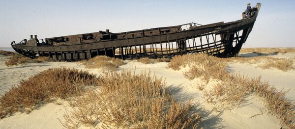 砂漠 砂漠 - Sputnik 日本