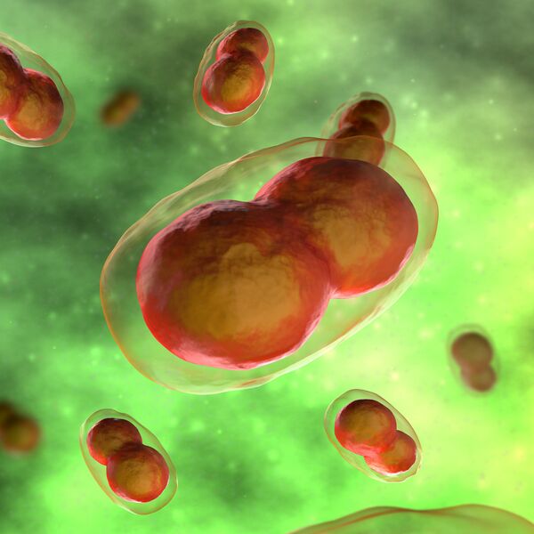 キメラウイルス キメラウイルス - Sputnik 日本