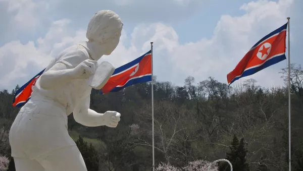 北朝鮮バレーチームの外国人元監督　西側の歪曲報道を否定 - Sputnik 日本