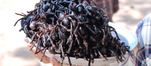 クモのフライ - Sputnik 日本