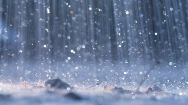 雨 - Sputnik 日本