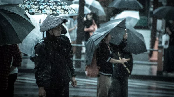 雨 - Sputnik 日本