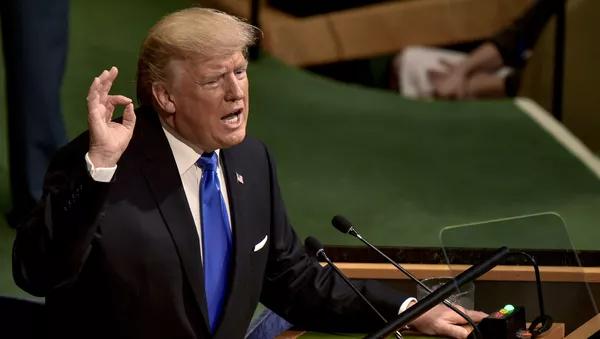 トランプ米大統領、「ＩＳ崩壊視野に」とラッカ奪還歓迎 - Sputnik 日本