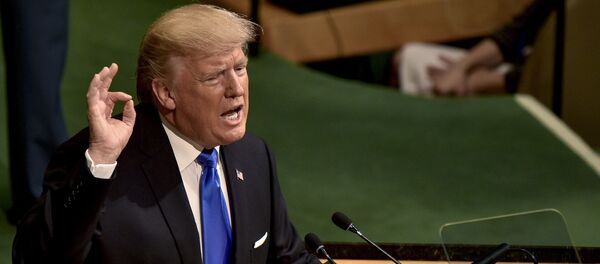 トランプ米大統領、「ＩＳ崩壊視野に」とラッカ奪還歓迎 - Sputnik 日本