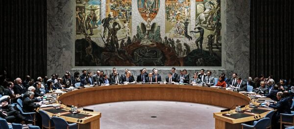 国連 - Sputnik 日本