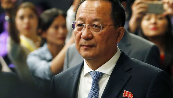 Министр иностранных дел Северной Кореи Ли Ен Хо - Sputnik 日本