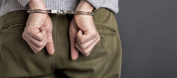 逮捕 逮捕 - Sputnik 日本