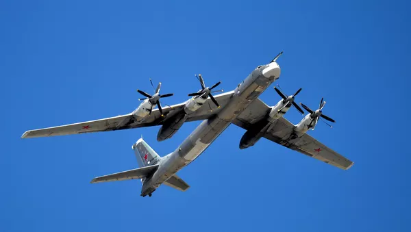 ロシアの戦略爆撃機Tu-95MS - Sputnik 日本