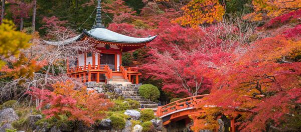 京都 京都 - Sputnik 日本