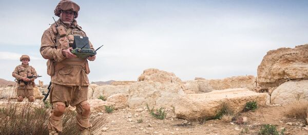 シリア シリア - Sputnik 日本