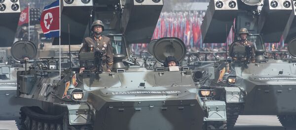 露米外相、北朝鮮を「核保有国と認めない」 - Sputnik 日本