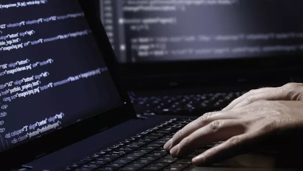ハッカー - Sputnik 日本