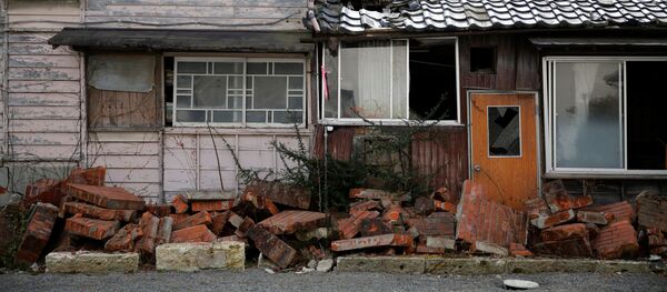 東日本大震災で崩壊された家 東日本大震災で崩壊された家 - Sputnik 日本