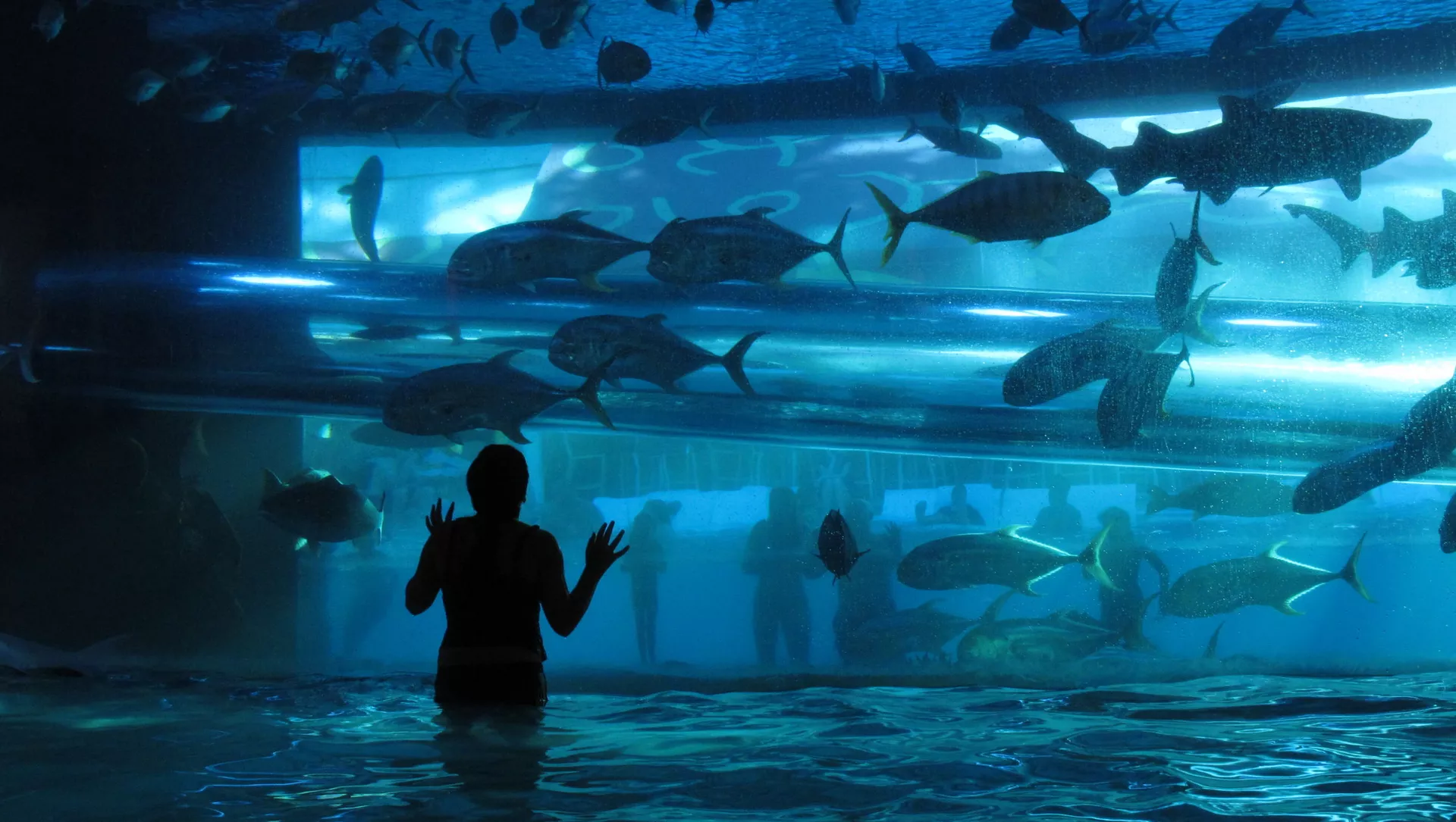水族館