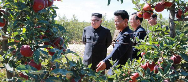 金正恩氏、米国との戦争を望んでない＝米ＣＩＡ高官 - Sputnik 日本