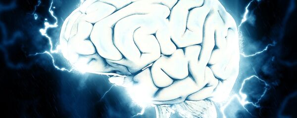 脳 - Sputnik 日本