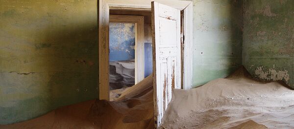 コールマンスコップ コールマンスコップ - Sputnik 日本