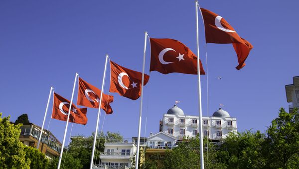 Турецкие флаги на острове Бююкада близ Стамбула - Sputnik 日本