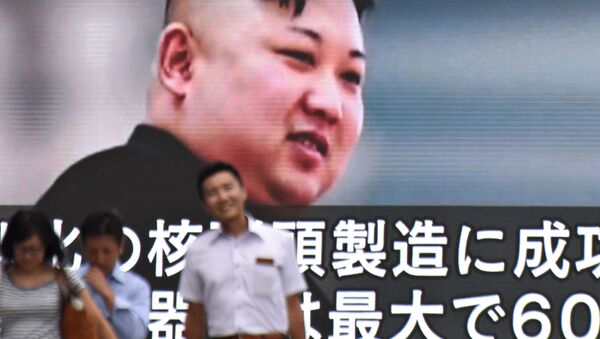 日本衆院選　北朝鮮、日米防衛協力推進を警戒 - Sputnik 日本