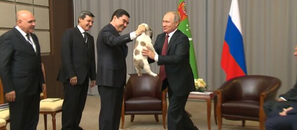 プーチン大統領、誕生日プレゼントに水玉模様のふわふわ子犬をもらいニコニコ！ - Sputnik 日本