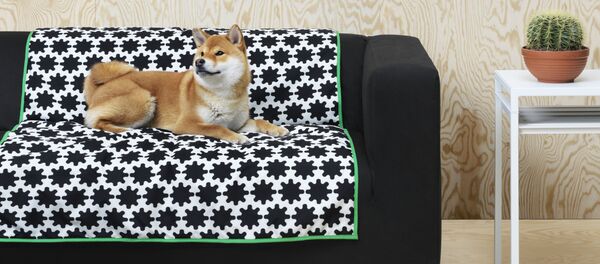 ペット用の新コレクション「LURVIG／ルールヴィグ」 - Sputnik 日本