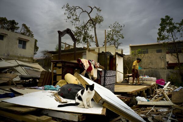 ハリケーン「マリア」による被害状況　プエルトリコ首都サンフアンで - Sputnik 日本