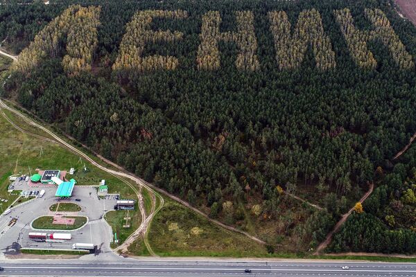 イヴァノヴォ市近くの森林に「レーニン」の文字　ベラルーシ - Sputnik 日本