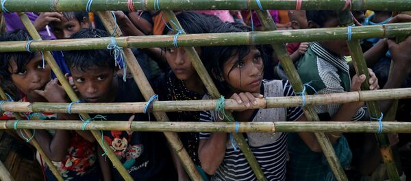 ロヒンギャ迫害「民族浄化」 米国が検討 ロヒンギャ迫害「民族浄化」 米国が検討 - Sputnik 日本