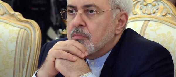 河野外相とイラン外相が会談 - Sputnik 日本