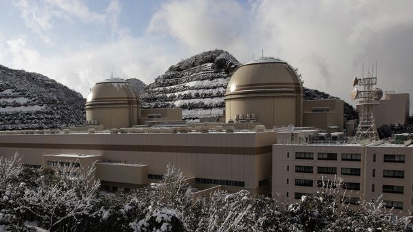 大飯原発2基の廃炉計画　原子力規制委員会が認可　長期工程を安全重視で - Sputnik 日本