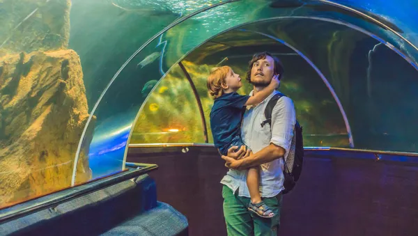 家族が水族館で歩く（アーカイブ） - Sputnik 日本