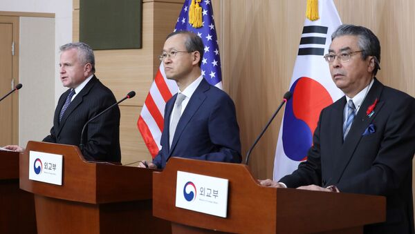 北朝鮮問題を外交で解決努力＝米　米韓次官協議で - Sputnik 日本