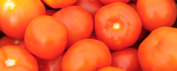 トマト トマト - Sputnik 日本