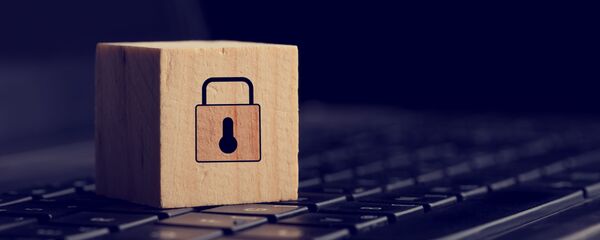 インターネットが米国の管理下を脱する インターネットが米国の管理下を脱する - Sputnik 日本