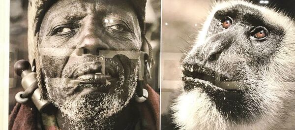 中国でアフリカ人と動物を「比較」した写真家の展覧会が閉鎖される 中国でアフリカ人と動物を「比較」した写真家の展覧会が閉鎖される - Sputnik 日本