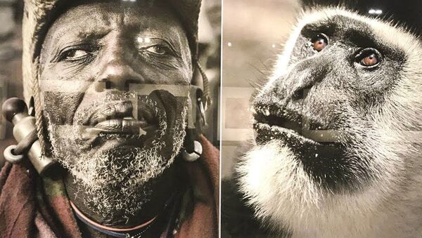 中国でアフリカ人と動物を「比較」した写真家の展覧会が閉鎖される - Sputnik 日本
