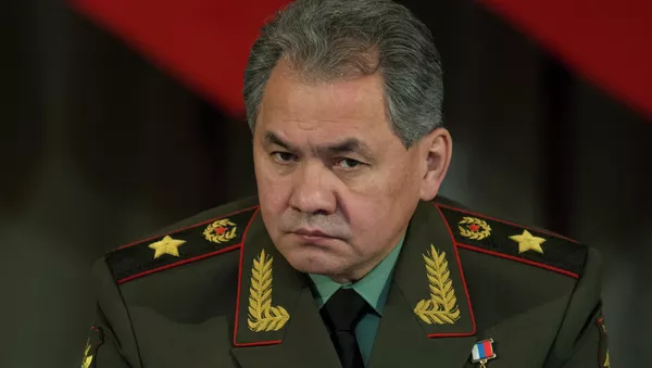 ロシアのショイグ国防相 - Sputnik 日本