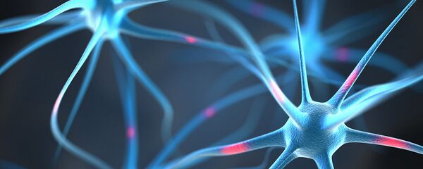 頭の中にある神経細胞 頭の中にある神経細胞 - Sputnik 日本