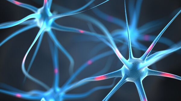 脳内の神経細胞 - Sputnik 日本