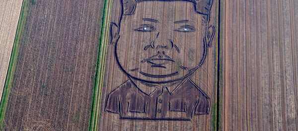 金正恩氏の絵 金正恩氏の絵 - Sputnik 日本