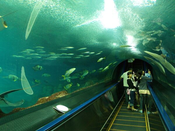 初の水中エスカレーター 初の水中エスカレーター - Sputnik 日本