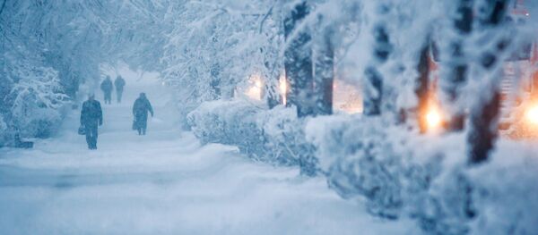 冬 - Sputnik 日本